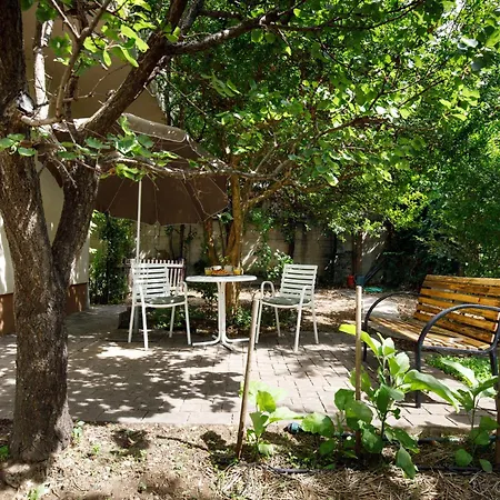 Mir Apartment
